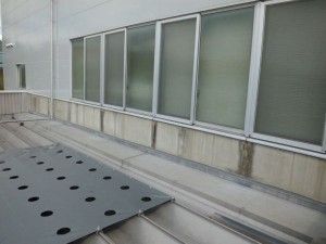 CIMG2659