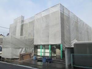 IMG_1313
