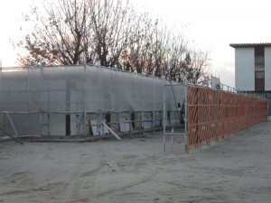 IMG_2629