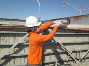IMG_0246