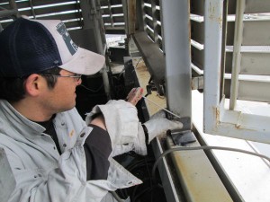 IMG_0555