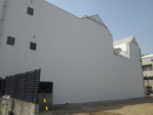 IMG_2950