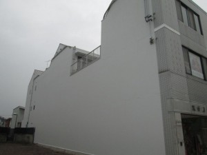 IMG_2954