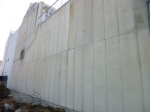 P1000375