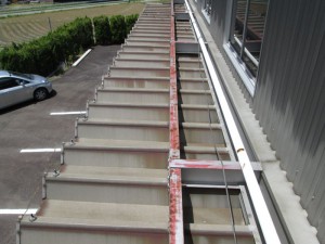 IMG_0090
