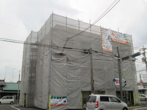 IMG_0597