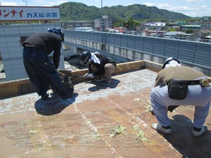 IMG_0707