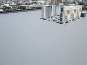 IMG_0908