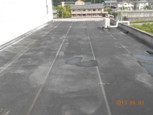 DSCN1337
