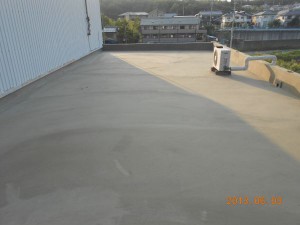 DSCN1358