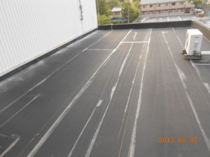 DSCN1394