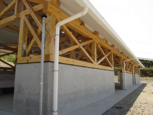 IMG_0024