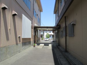 IMG_0811