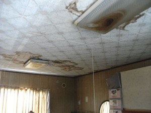 DSCF1039