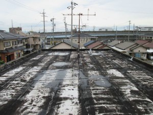IMG_0007