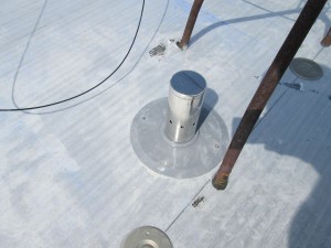 IMG_0029
