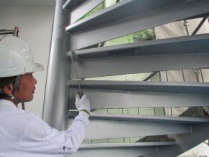 IMG_0010