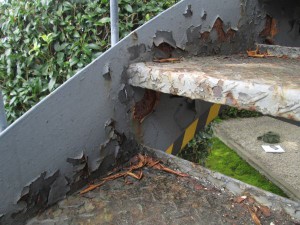 IMG_1877