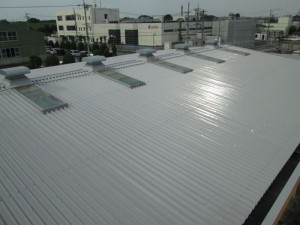 IMG_0488