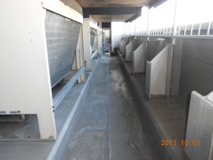 DSCN1735