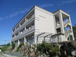 IMG_3786