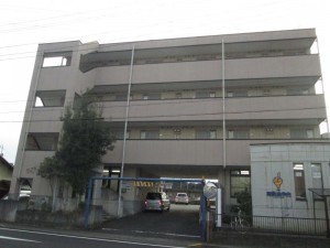 IMG_1244