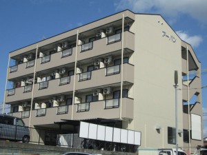 IMG_1387