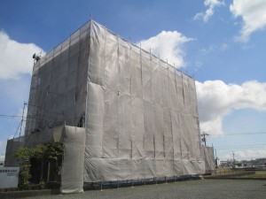 IMG_6100