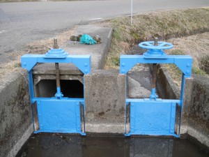 CIMG0368