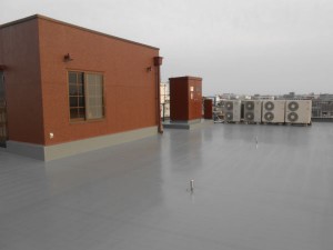 DSCN3153