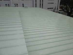 IMG_1655