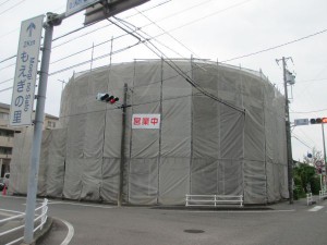 IMG_0587