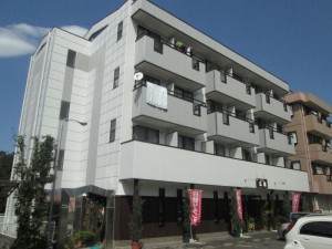 IMG_2010