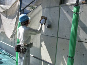 IMG_3230
