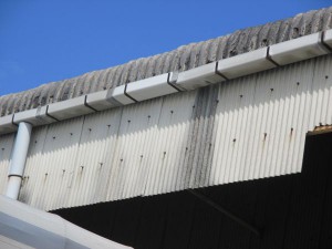 IMG_3390