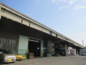 IMG_3395