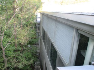 IMG_3427