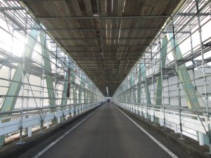 IMG_2350