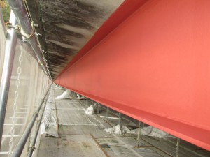IMG_2561