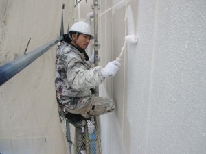 IMG_0017 (5)