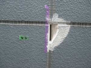 IMG_0248