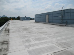 IMG_2010