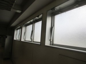 IMG_0703
