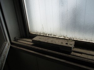 IMG_2336