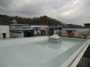 CIMG6509