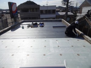 DSC02060