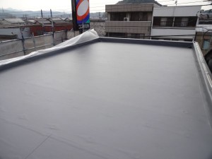 DSC02083