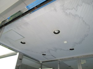 IMG_0384