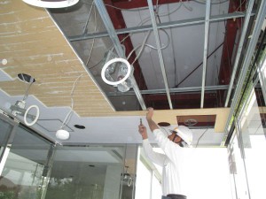 IMG_0394