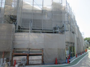 IMG_0693